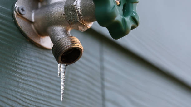 Best Clogged Drain Plumber  in Bloomington, TX